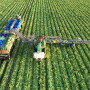 An automated lettuce harvester works it way agross a field of green lettuce.