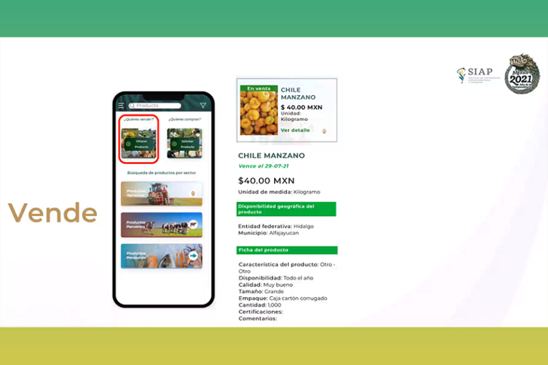 Fortune Growers is working with several agencies and organizations in Mexico and the U.S. to make an app for small and medium-sized Mexican growers to use to buy and sell produce for export, regardless of volume, with no brokers involved.