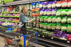 Walmart Easter prices