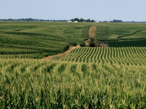 farmland