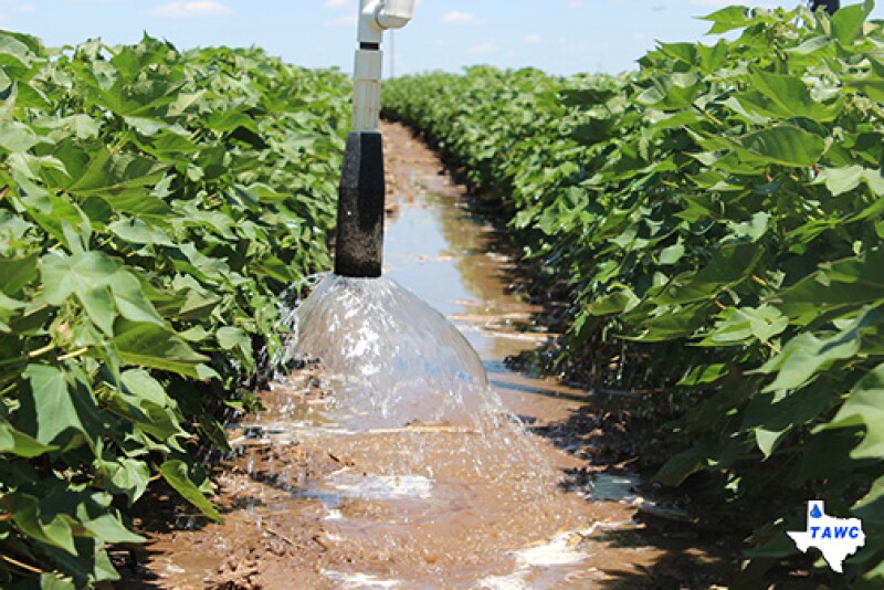 A drop irrigation nozzle down between crop rows