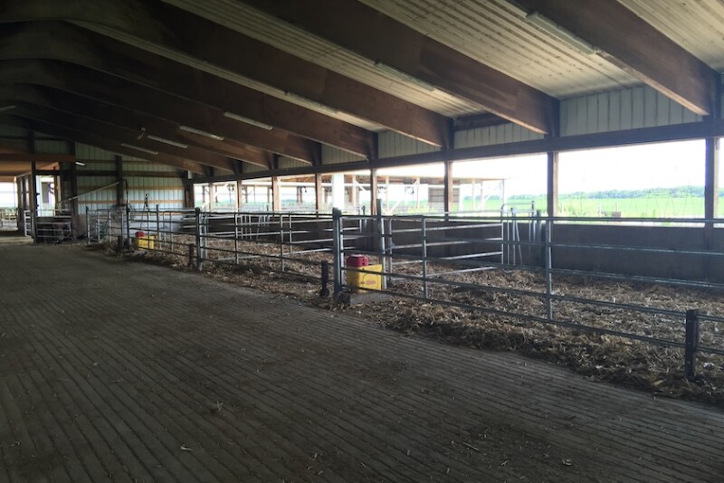 A well-planned calving pen gives producers the opportunity to provide the best treatment for both the cow and the calf. 