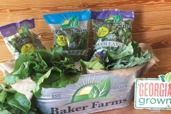 Baker Farms’ 1-pound Rootables bags of turnip and beet greens are doing well entering their second spring season, says Heath Wetherington, director of operations.