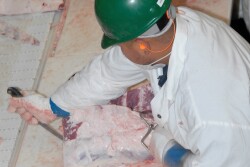 BT_USDA_Beef_Meat_Packer_5