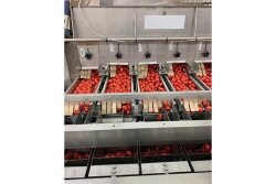 Peter John Condakes, president and co-owner of Peter Condakes Co., says the company’s foodservice customers adapted to delivering boxes of produce to retail customers’ homes, among other strategies, in order to offset drops in business during the coronavirus pandemic