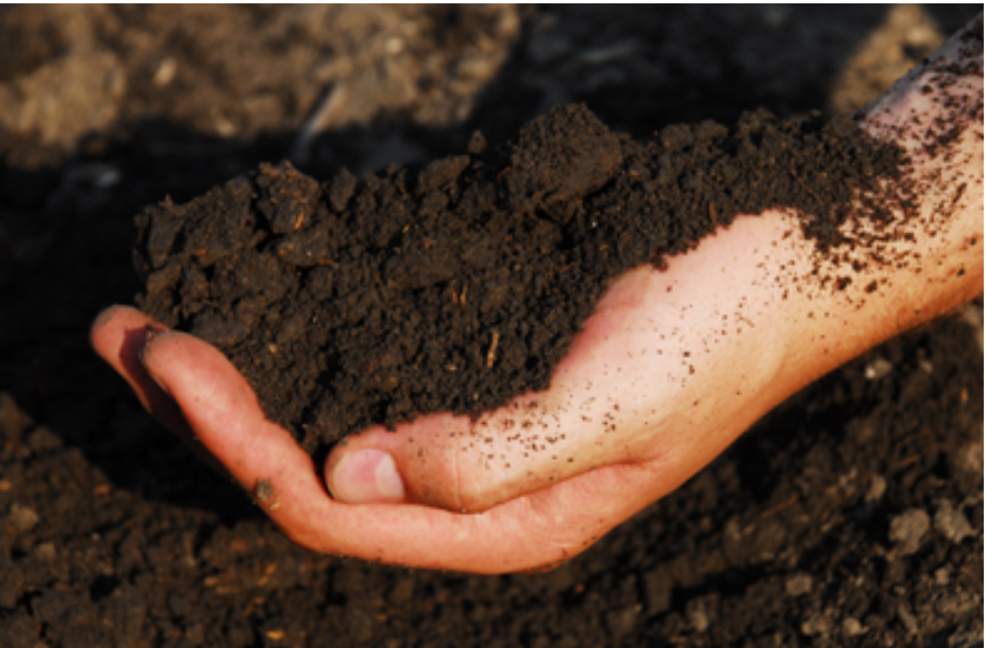 soil health