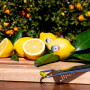 sunkist lemons