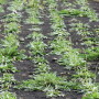 bfb9ab73af3a44f89720743a4a472be81.jpg