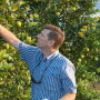 Citrus Greening