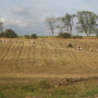 drought_pastures