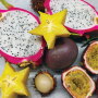 Coosemans, which has Florida offices in Miami and Tampa and serves retail, foodservice and wholesale customers, is increasing its focus on retail right now, says director of marketing and business development Claudia Miranda, with an emphasis on ‘Specialty Produce for All.’