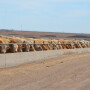 BT_Rotator_Feedlot_Bunk_7