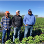 Wish Farms is adding strawberry acreage in Florida. Pictured are Chris Parks (from left), farm manager; Tyrell Pierson, food safety manager; and Kane Hannaford, assistant farm manager.