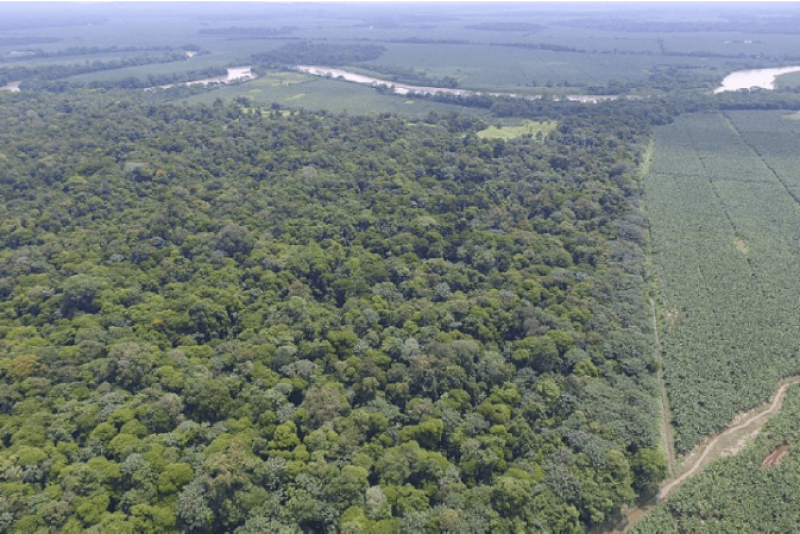 Chiquita and some of its clients established the Nogal Nature and Community Reserve in Costa Rica.
