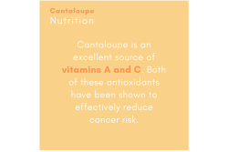 Calif cantaloupe