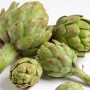 Ocean Mist Farms Frost Kissed Artichokes