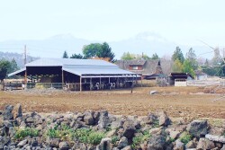 childhood family farm