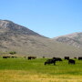 Lost Peaks Ranch