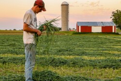 By keeping the ground covered virtually year-around, less soil is lost to erosion, soil tilth is improved, nutrient update is better, and weed pressure is reduced.