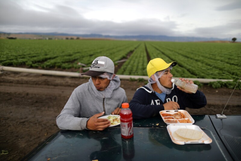 Mexican migrant farmworkers Jesus Martin Ley Lugo, 27, (R) and Rogelio Garcia Parria, 20, who both have H-2A visas, eat during a break while harvesting romaine lettuce in King City, California, U.S., April 17, 2017. REUTERS/Lucy Nicholson