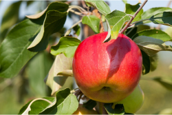 291FE7D8-06CB-475C-996DD8FFC645E663.png