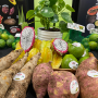 New Limeco’s main business is in limes, papayas and green-skin avocados.