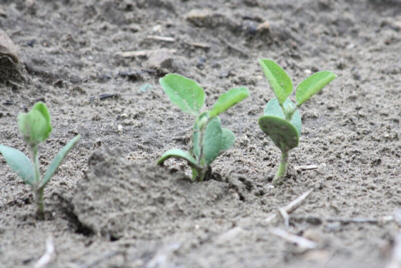 You can’t always predict the weather; but you can put plans in place so you’re ready to plant in all conditions.