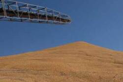 corn-pile