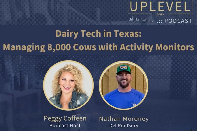 Peggy Coffeen, Uplevel Dairy Podcast