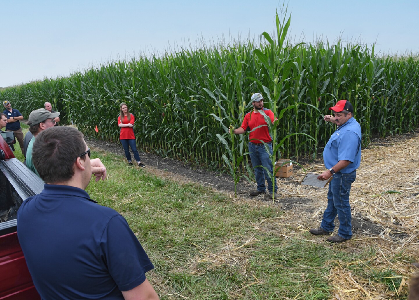 Is Now The Time To Consider Conventional Corn? - AgWeb