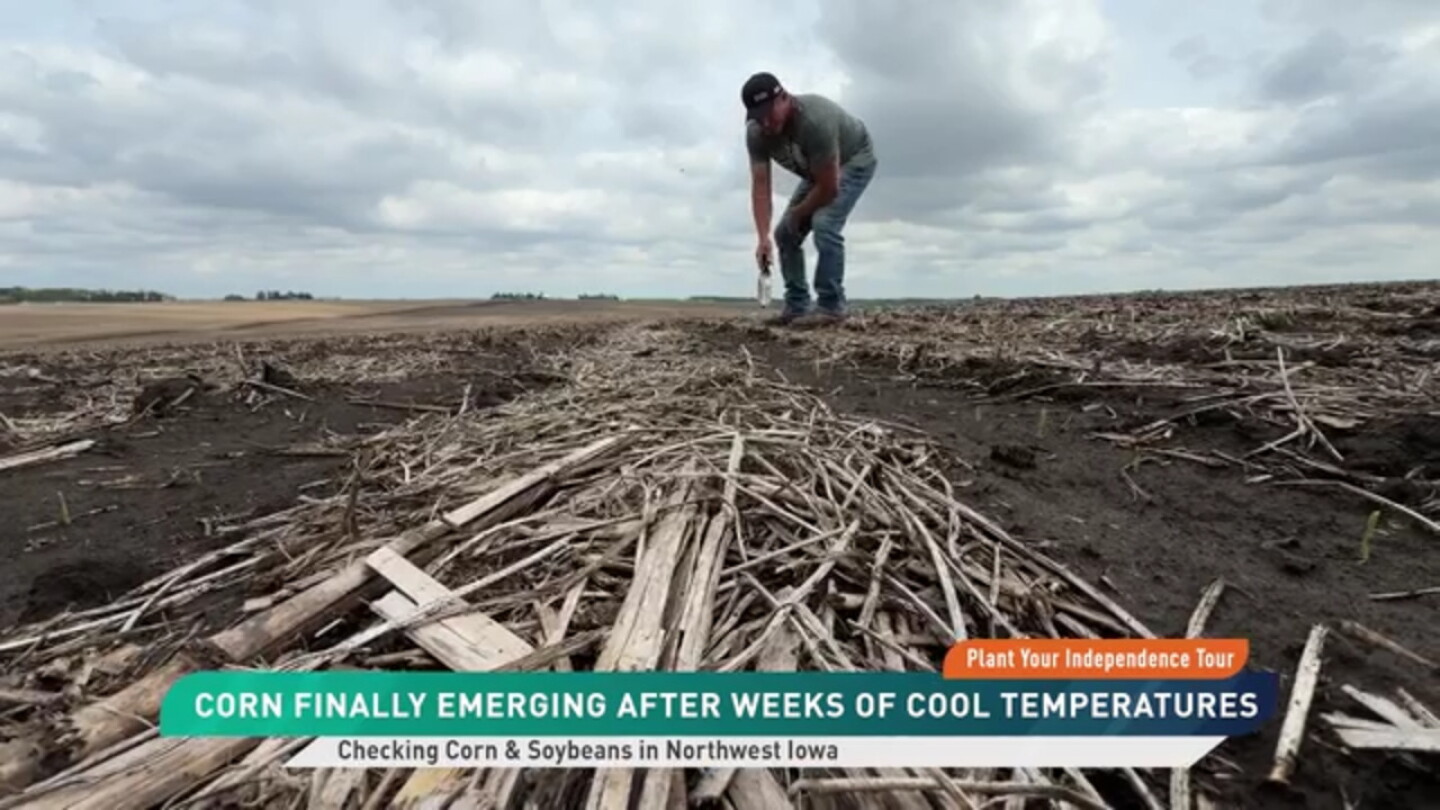 Farm Shock Northeast Iowa Farmer Says Fertilizer Sticker Shock Limited Corn Acre ...
