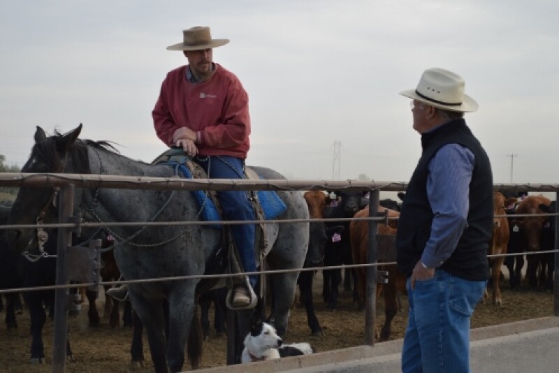 The veterinarian can, with good teaching and leadership skills, help client operations maintain a stable and productive workforce. 