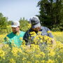 people in canola field.jpeg