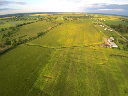 Rural bankers report strong farmland values.