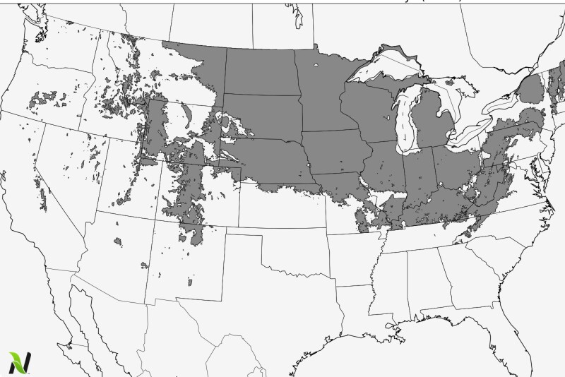 frost outlook