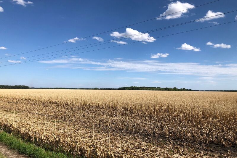 Farmers in North Dakota are still trying to harvest last year’s corn crop while running out of time to plant this year.