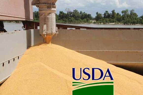 USDA-corn-exports.jpg