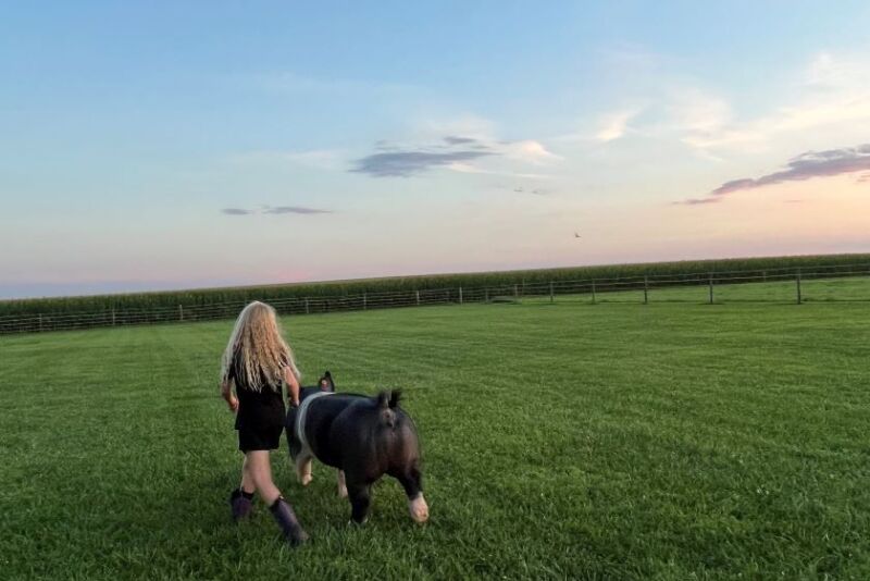 Harper Shike walking a pig
