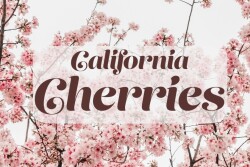 California Cherries