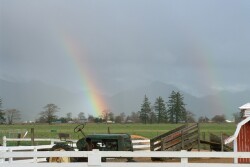 Farm After the Rain