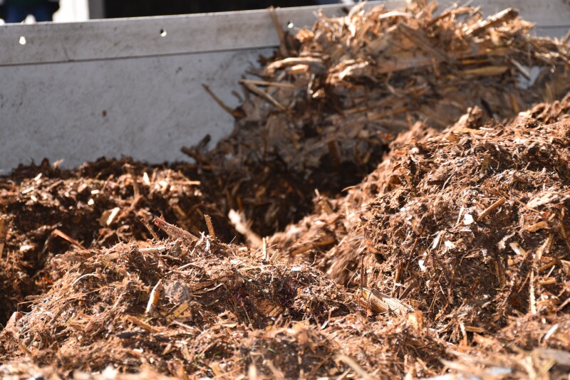 As swine producers hit hard by COVID-19 grapple with the last-resort decision of depopulation, Nebraska Extension is stepping up to help producers who are facing this challenge. 