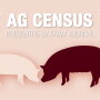 Not only are the numbers of hogs produced in the U.S. growing, so are the number of hog operations, according to the 2017 Census of Agriculture released on April 11. 