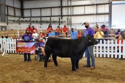 The steer raised by Rylie Timm and shown by Tate Schafer and Boone Myers was chosen as People’s Choice.