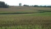 CRP ground