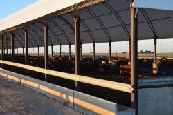 BT_Hoop_Barn_Cattle_Feeders