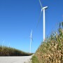 Wind_Turbine_Corn_Field.JPG