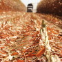 Now is the time to do corn chopper maintenance, before the crush of harvest.