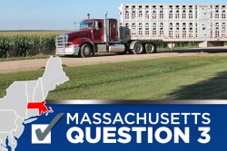 Massachusetts Question 3
