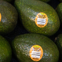Calavo Growers Ripe Now Price Look-Up (PLU) stickers on avocados