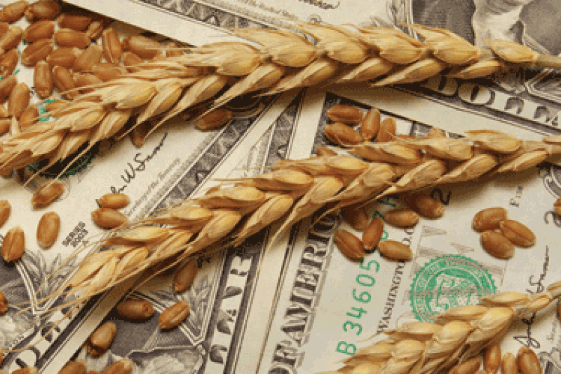 Wheat Dollars